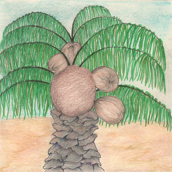 Nature Baby by Tracey Farrell Nature Baby by Tracey Farrell