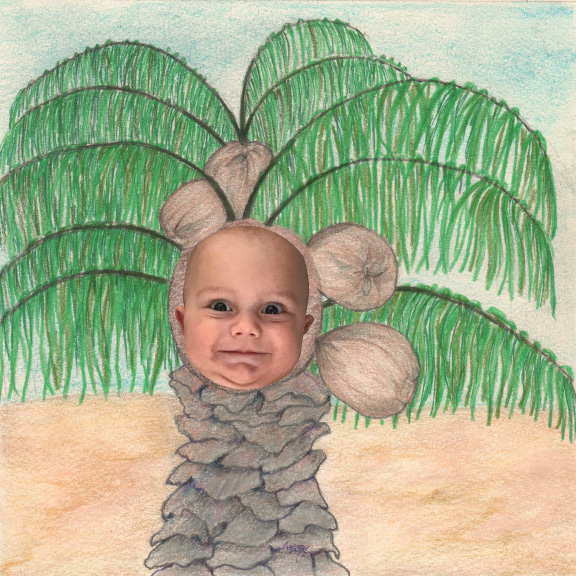 Nature Baby by Tracey Farrell Nature Baby by Tracey Farrell