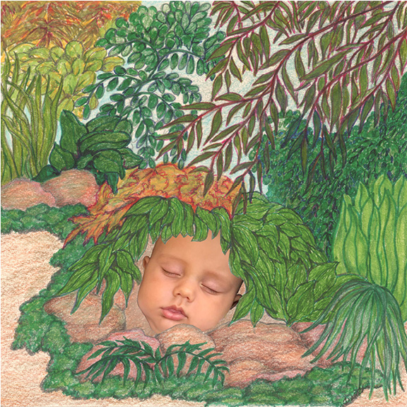 Nature Baby by Tracey Farrell Nature Baby by Tracey Farrell