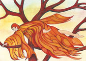 Fire Fly