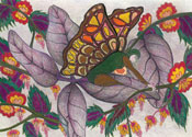 Monarch Revival