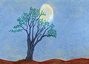 Moon #18 Moon #18
