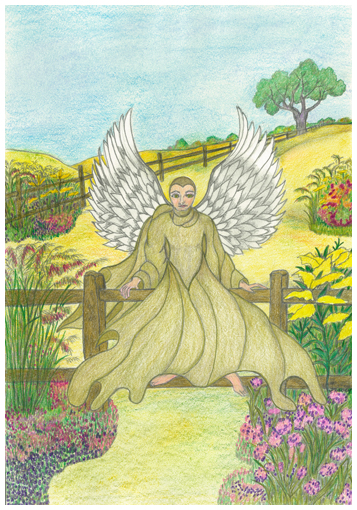 Harvest Ready by Tracey Farrell