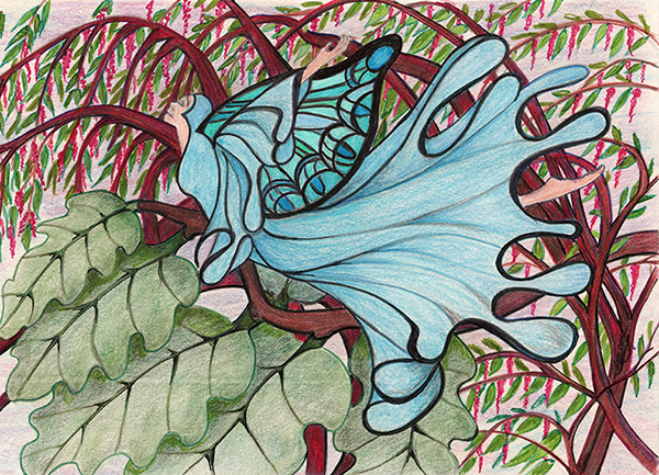 Butterfly by Tracey Farrell