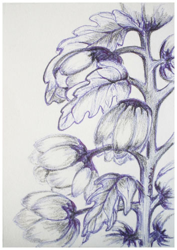 After A Rain by Tracey Farrell After A Rain by Tracey Farrell