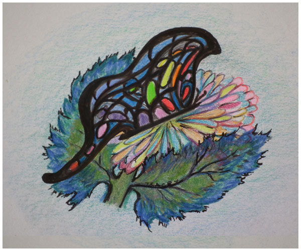 Butterfly by Tracey Farrell