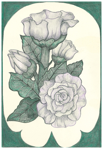 Blue Rose by Tracey Farrell