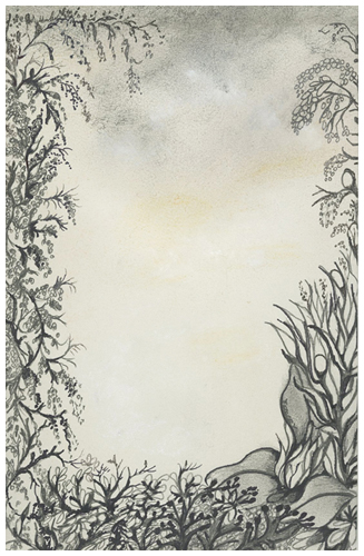 Flower Border by Tracey Farrell