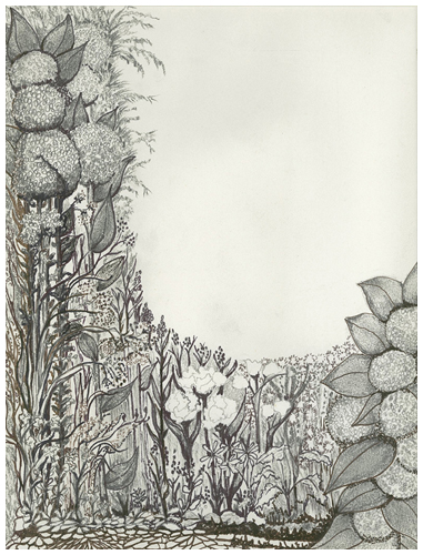 Flower Field by Tracey Farrell Flower Field by Tracey Farrell