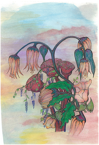 Melody by Tracey Farrell