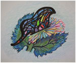 Butterfly by Tracey Farrell
