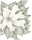 Sweet Magnolia II by Tracey Farrell