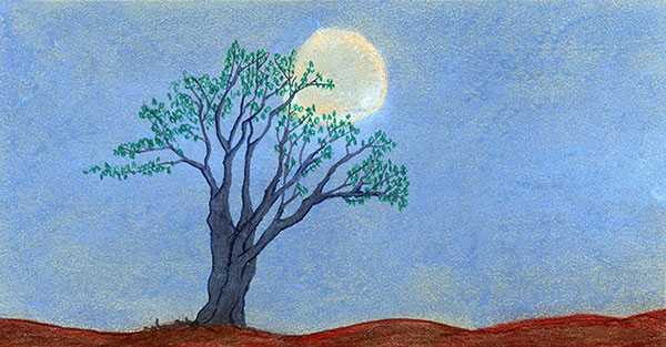 Moon by Tracey Farrell Moon by Tracey Farrell