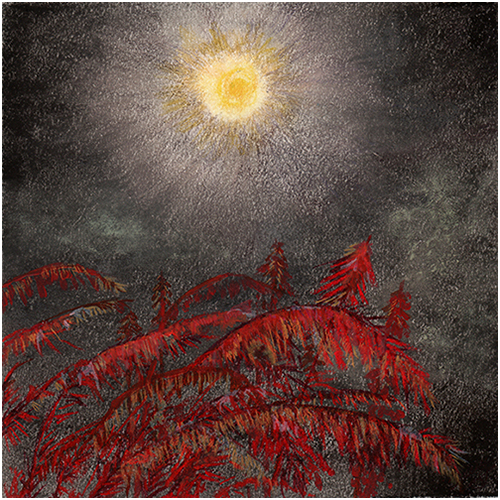Moon by Tracey Farrell Moon by Tracey Farrell