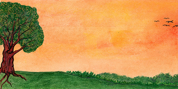 Sky by Tracey Farrell Sky by Tracey Farrell