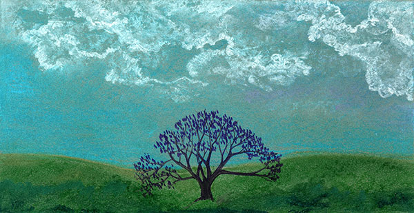 Sky by Tracey Farrell