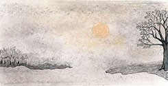 Sky #55