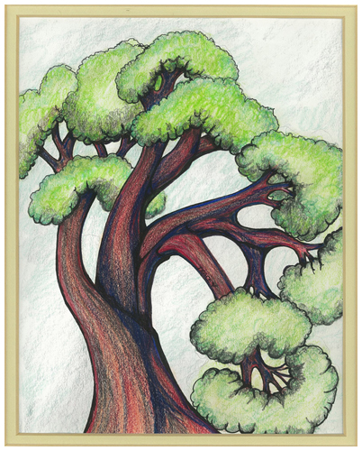 Cedar Grove III by Tracey Farrell Cedar Grove III by Tracey Farrell