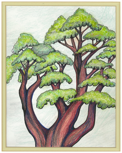 Cedar Grove II by Tracey Farrell