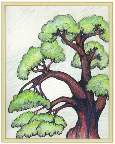 Cedar Grove I by Tracey Farrell