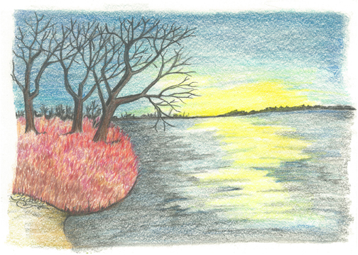Evening Calm by Tracey Farrell Evening Calm by Tracey Farrell