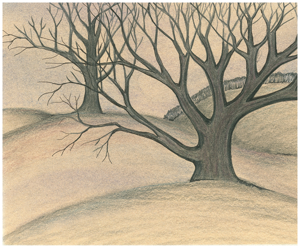 Field Of Gold by Tracey Farrell Field Of Gold by Tracey Farrell