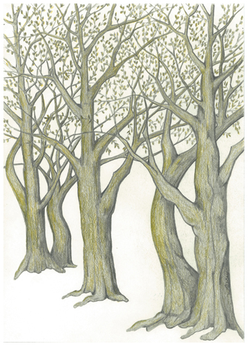 Golden Harmony I by Tracey Farrell