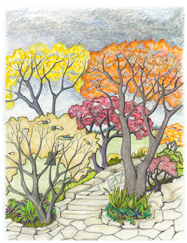 Garden Of Life by Tracey Farrell Garden Of Life by Tracey Farrell