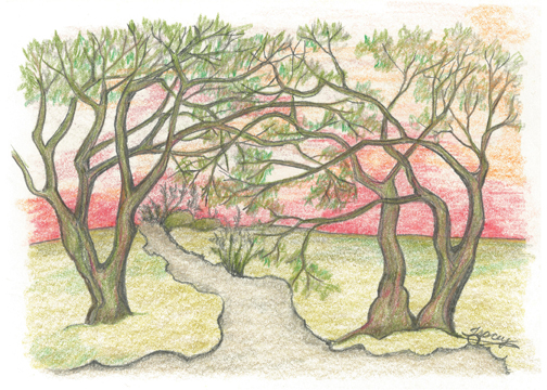 Inviting Summer by Tracey Farrell Inviting Summer by Tracey Farrell