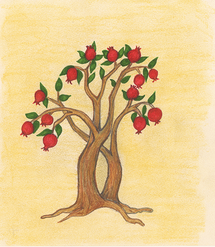 Pomegranate Tree by Tracey Farrell Pomegranate Tree by Tracey Farrell