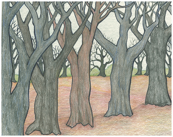 Soft And Quiet  by Tracey Farrell