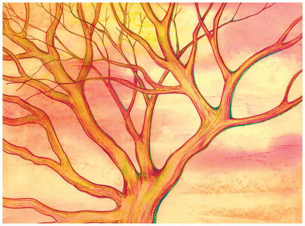 Sunglow by Tracey Farrell Sunglow by Tracey Farrell
