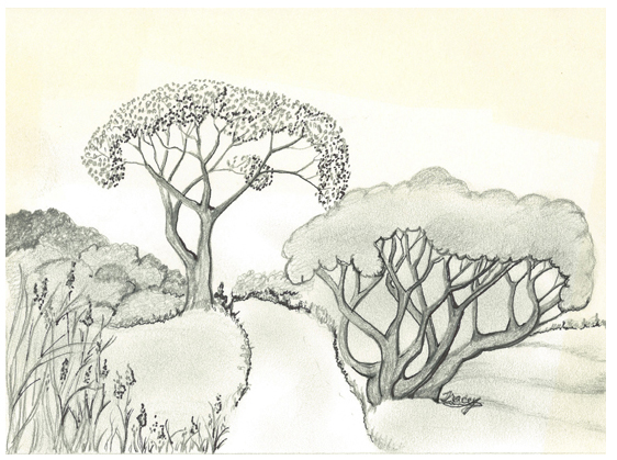 Silent Neighbours by Tracey Farrell