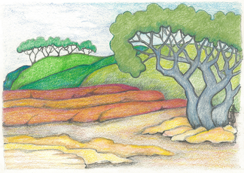 Soft Summer Day by Tracey Farrell Soft Summer Day by Tracey Farrell
