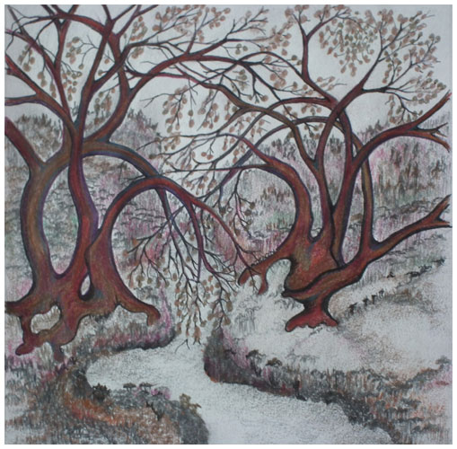 The Old Couple by Tracey Farrell