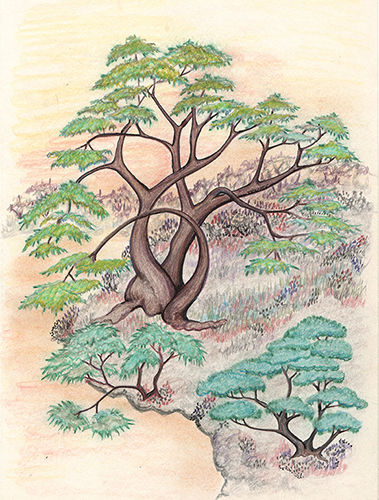 Garden Of Life by Tracey Farrell Garden Of Life by Tracey Farrell