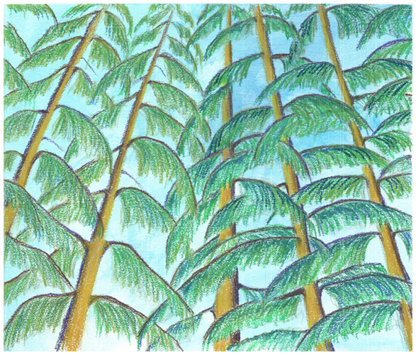 West Coast Sky by Tracey Farrell