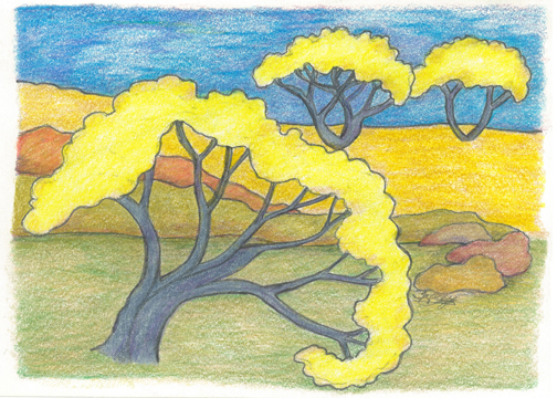 Yellow Explosion by Tracey Farrell Yellow Explosion by Tracey Farrell